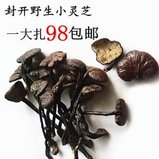 野生小灵芝广东封开土特产黑灵芝紫灵芝赤芝整枝125克2两半包邮
