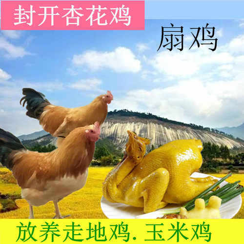 封开杏花鸡扇鸡大阉鸡广东走地鸡农家玉米鸡整鸡包邮 - 封面