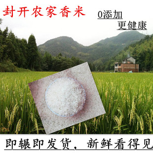 新鲜农家丝苗香米大米广东肇庆封开特产油粘米10斤20斤广东包邮