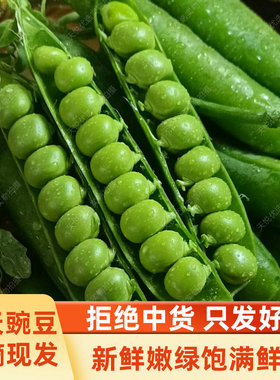 青豆豌豆新鲜带壳弯豆云南农家露天蔬菜现摘水果甜嫩碗豆角荚甜豆