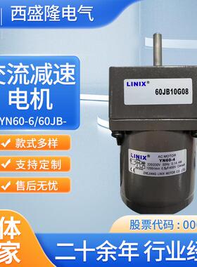 电机交流减速电机YN60-6/60JB10G0832环保低噪音
