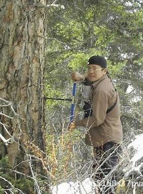 实验室仪器 瑞典Haglof树木生长锥取样工具 树龄鉴定年轮分析