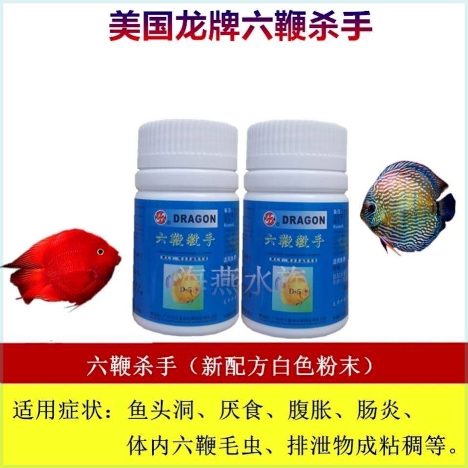 龙牌六鞭杀手 D-5 专治鱼头洞厌食药品 50g粉剂水族鱼药药品药剂