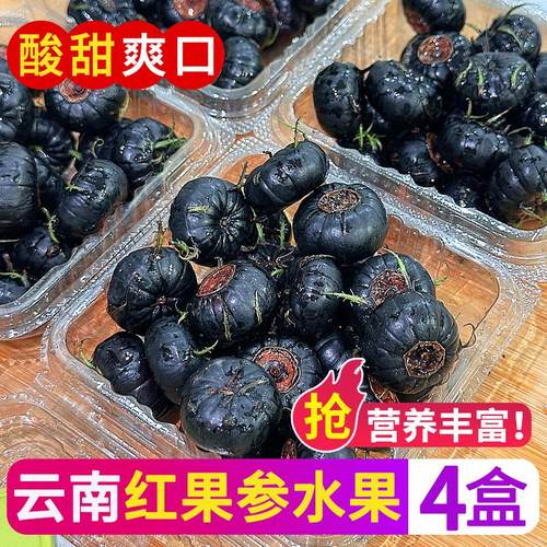 云南红果参酸甜可口果中人参
