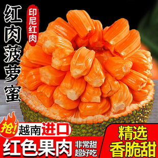 越南印尼红肉菠萝蜜应当季新鲜水果一整个红心波罗蜜香甜脆包邮