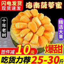 海南三亚菠萝蜜新鲜水果波罗蜜当季一整个10-40斤整箱包邮红肉