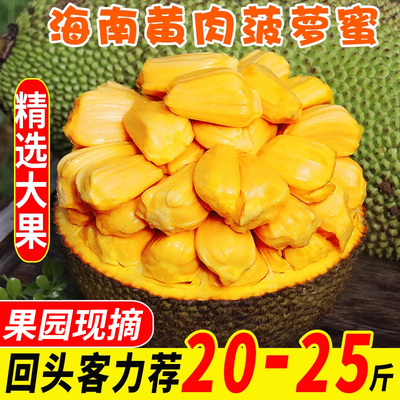 海南特产树菠萝蜜新鲜水果木波罗蜜当季整箱20-30斤一整个包邮红