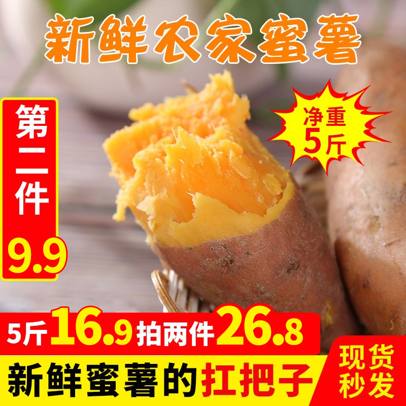 现挖新鲜蜜薯5斤甜地瓜 农家自种蔬菜沙地红薯地瓜黄心番薯包邮