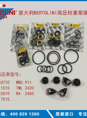 意大利BERTOLINI水封组件油封单向阀维修包|环卫泵原厂配件