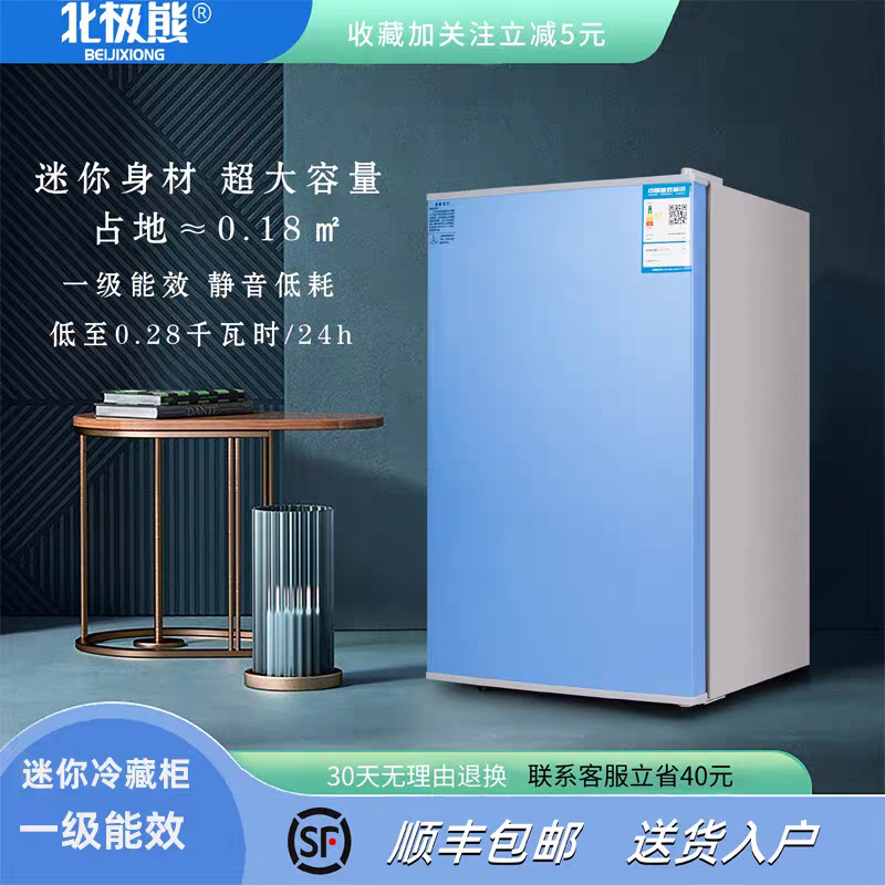 北极熊小冰箱家用小型宿舍出租房冷冻冷藏迷你单门电冰箱一级节能