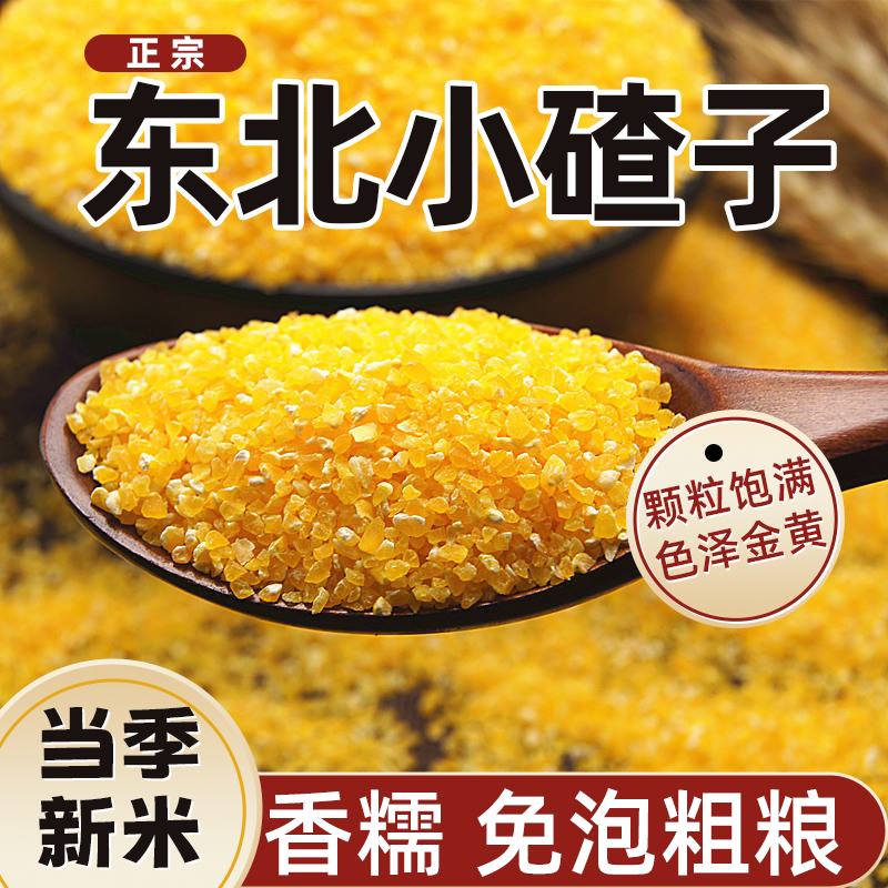 苞米糁新鲜糁玉米糁子小颗粒易熟