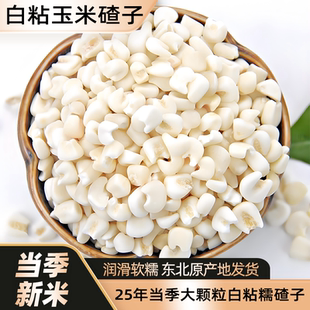 东北白粘玉米碴子糯玉米碴去皮农家正宗粘糯玉米粒杂粮粗粮大碴粥