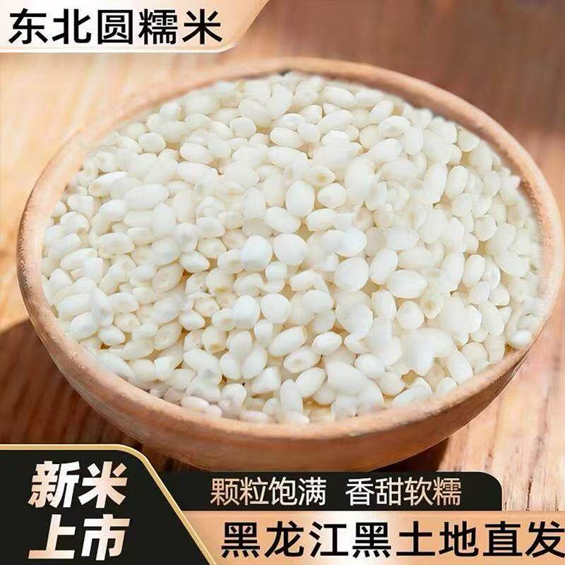圆粒纯糯米粘大米五谷白江米黏米包粽子珍珠糙米籼米糯米饭粽子糯