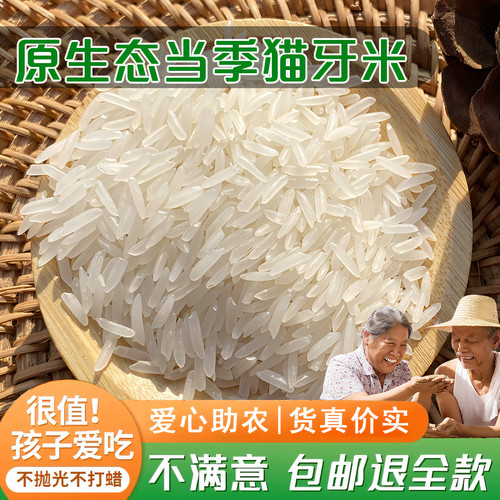 大米猫牙米长粒香米广西农家自产