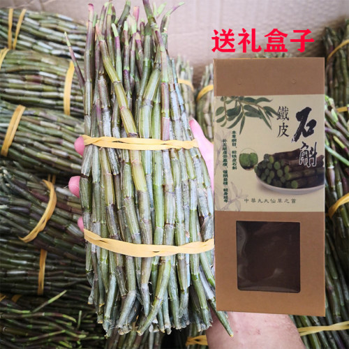 500g新鲜铁皮石斛确风触斜斗胡敷