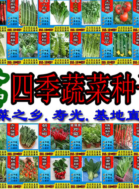农家四季田园阳台套餐蔬菜种子