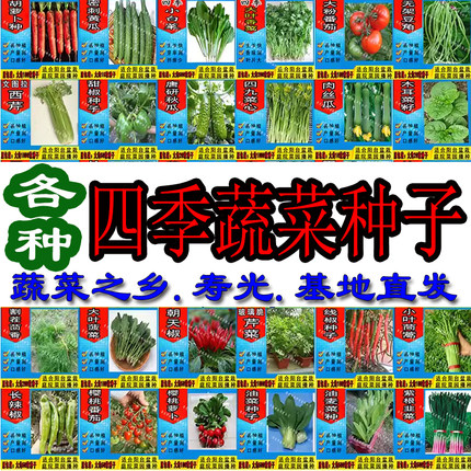 农家蔬菜种子四季播种田园菜园阳台种菜夏播菜籽套餐香菜青菜韭菜
