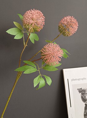 仿真3头茴香蒲公英葱球 北欧家居样板间酒店婚庆设计插花配件