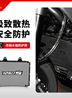 适用哈雷运动者RH1250S Sportster S 1250改装水箱网保护网罩配件