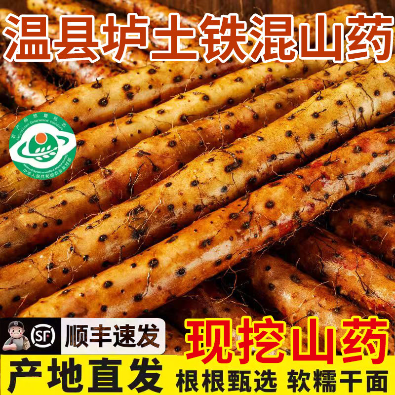 河南焦作温县铁棍山药正宗垆土淮山药怀山药铁杆山药新鲜5斤特产