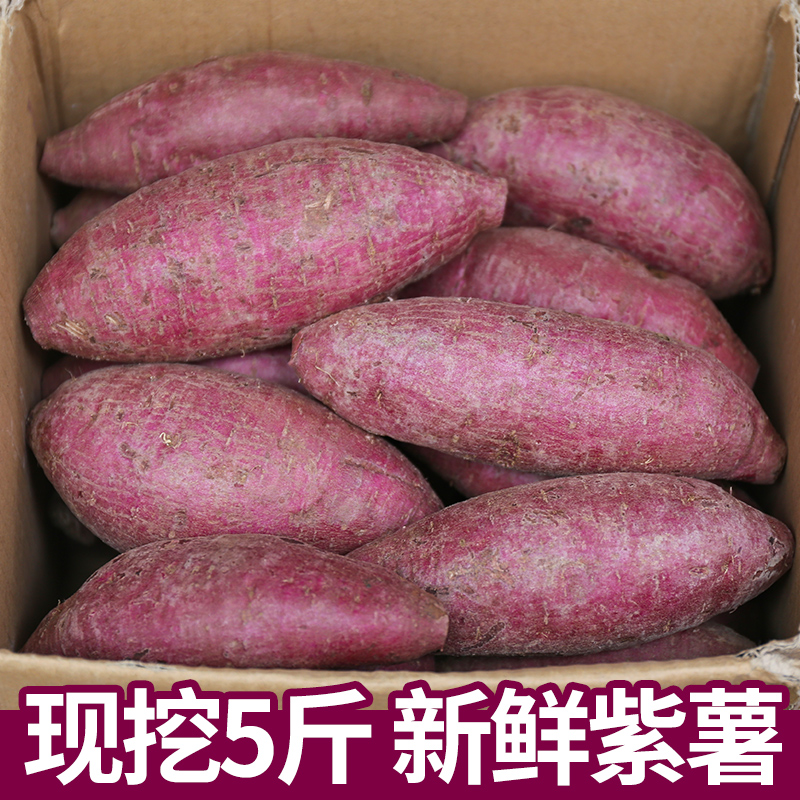 新鲜紫薯板栗红薯地瓜番薯蜜薯山芋农家自种小香薯沙地小红薯5斤12月03日最新优惠