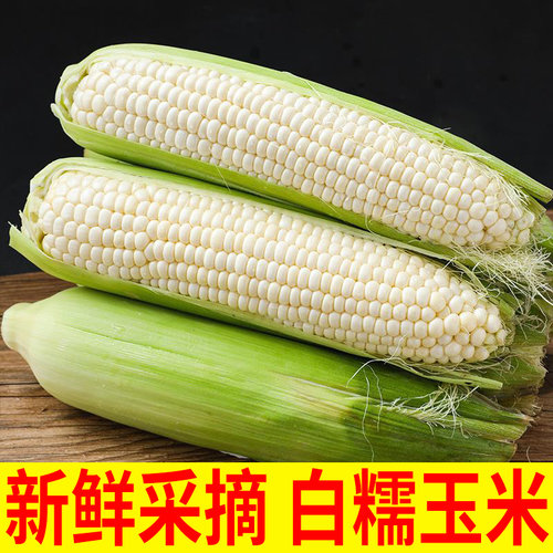 薯小萌新鲜现摘白糯玉米9斤装