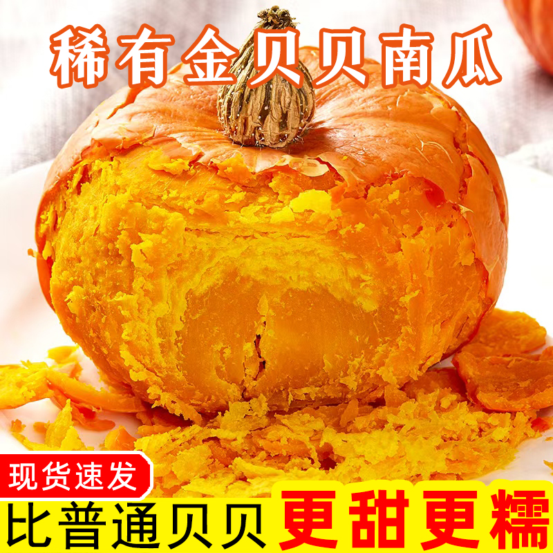 红魔金贝贝南瓜正宗板栗味小南瓜
