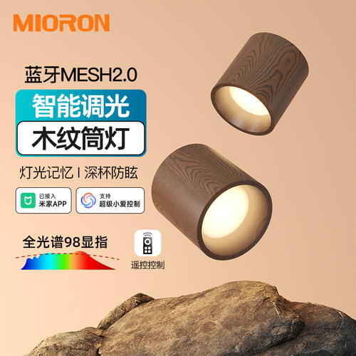 智能中古风明装筒灯深杯防眩客厅圆形过道小吸顶灯已接入米家APP