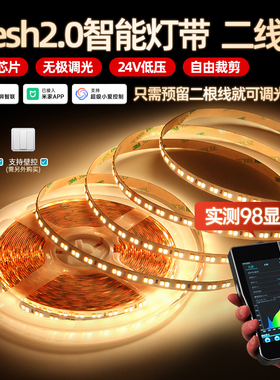 二线智能调光24v灯带三色变光低压led高显指双色温已接入米家App