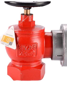 SNZ65旋转室内消防栓 消防器材沱雨直供SNZJ65旋转减压稳压消火栓