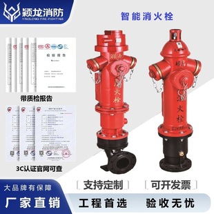 穎龍消防SSZN100智能消火栓DN100遠(yuǎn)程流量監(jiān)測(cè)防盜智能室外消防栓