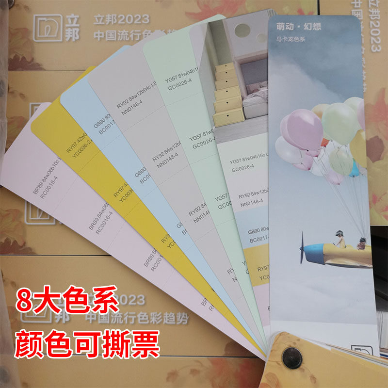 2023 NIPPON PAINT 컬러 카드 라텍스 페인트 국제 표준 컬러 카드 살구 그레이 스페이스 워크 RUYAO TEARABLE TICKET