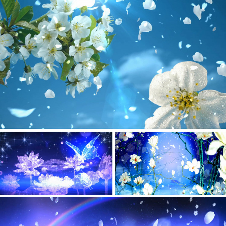 古风舞蹈梨花落表演背景视频梨花落视频素材 led动态视频 梨花落