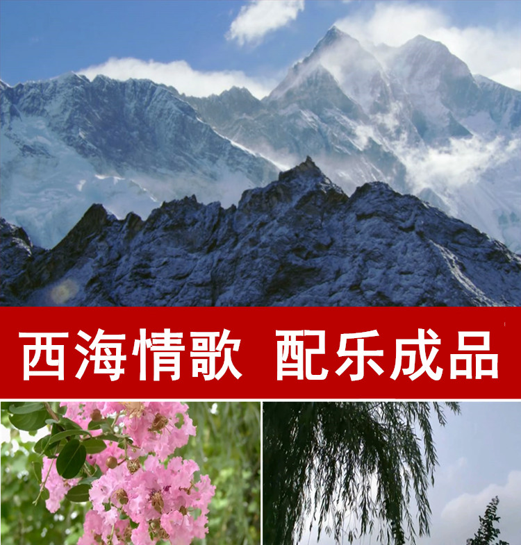 西海情歌 舞台背景 led动态背景视频素材 雪山 花朵 广场舞大草原