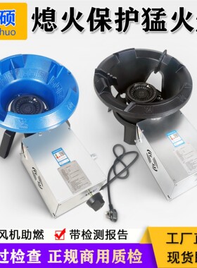 蓝硕低压商用煤气天然气液化气带