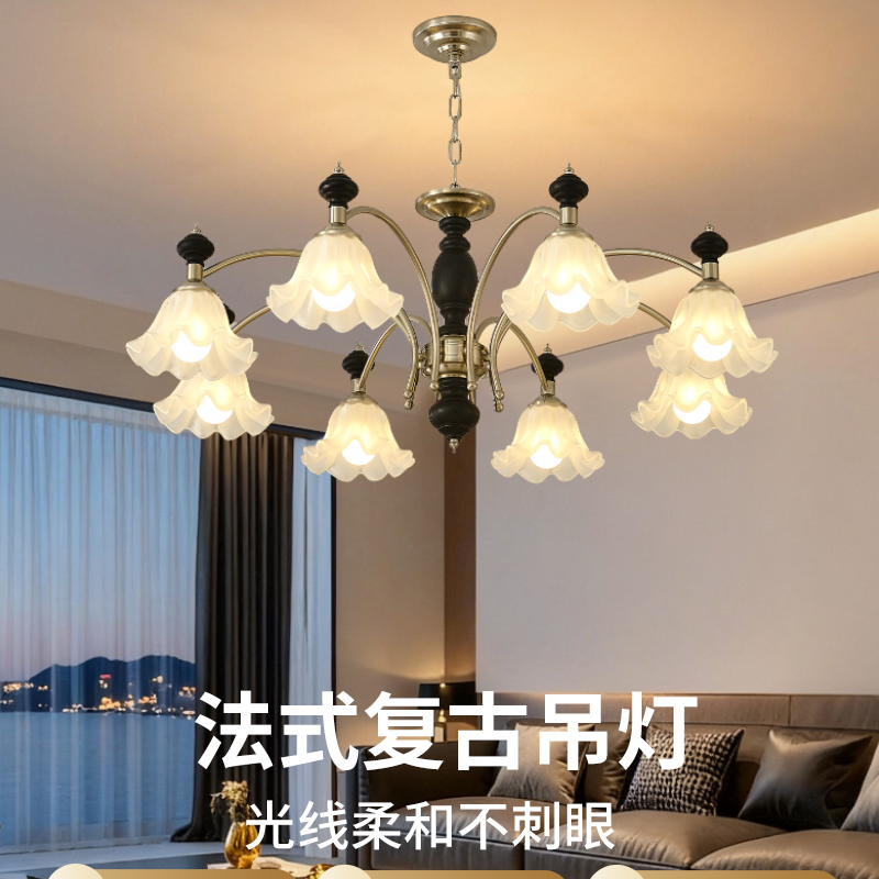 极有家品质工厂大气高级护眼吊灯