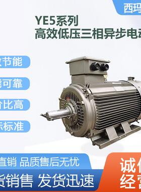 西安电机YE5-3l5S-6极75W一级能效IE5交流三相异步电动机厂