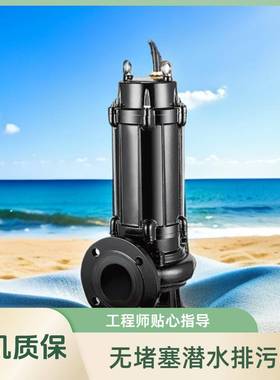 QWB防爆潜水泵无堵塞潜污泵上海排污潜水泵牌污水提