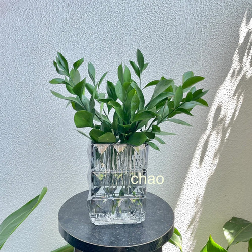 绿植插花凌晨花市顺丰包邮北京