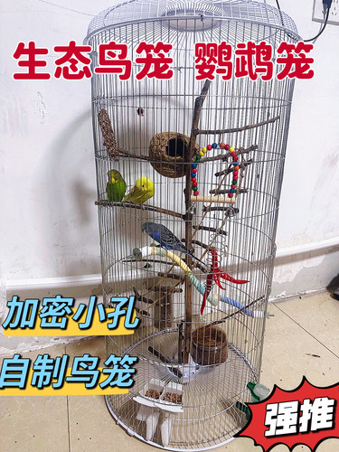 自制生态鸟笼网鹦鹉网专用花盆小孔铁丝网围栏鸽舍鸽笼子网片钢丝