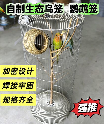 自制生态鸟笼网鹦鹉网专用花盆小孔铁丝网围栏鸽舍鸽笼子网片钢丝