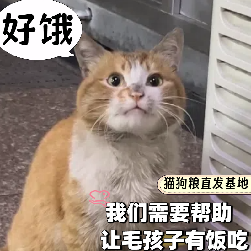 云投喂购买粮食（直达流浪基地）街头无助动物专项链接以商养善