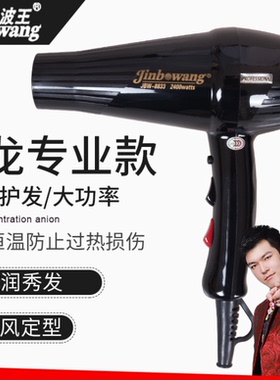 8833发型师专业大功率电吹风机