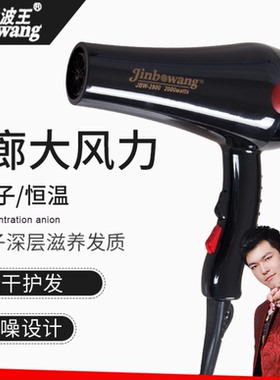 专业发廊大功率家用恒温电吹风机
