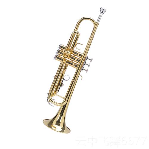 正品B三音在小号降，等考试专业演奏，校学生，初学者级，西洋乐