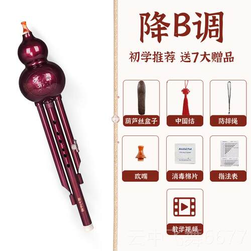 正品新 AB艺闪光紫胶葫芦丝木乐器cS调降b调学生成人儿童初学入门
