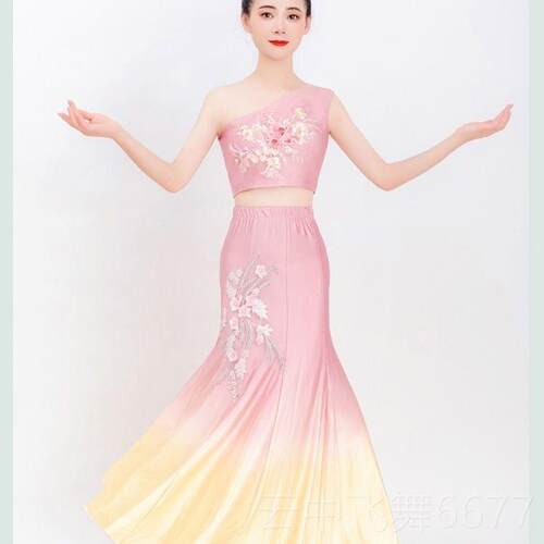 正品款族舞蹈新服装儿童 成人孔雀舞鱼尾练功傣半身裙艺考舞蹈服