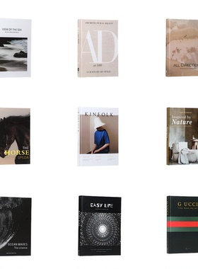 现代简约创意艺术书籍摆件