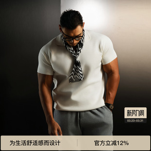 【动静之间】BODYDREAM老钱风海鸥领POLO衫男夏短袖肌理感针织T恤