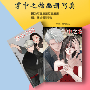 掌中之物傅慎行何妍周边画册集海报书签小卡徽章相框照片应援礼物